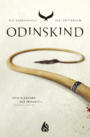 Die Rabenringe – Odinskind (Bd. 1)